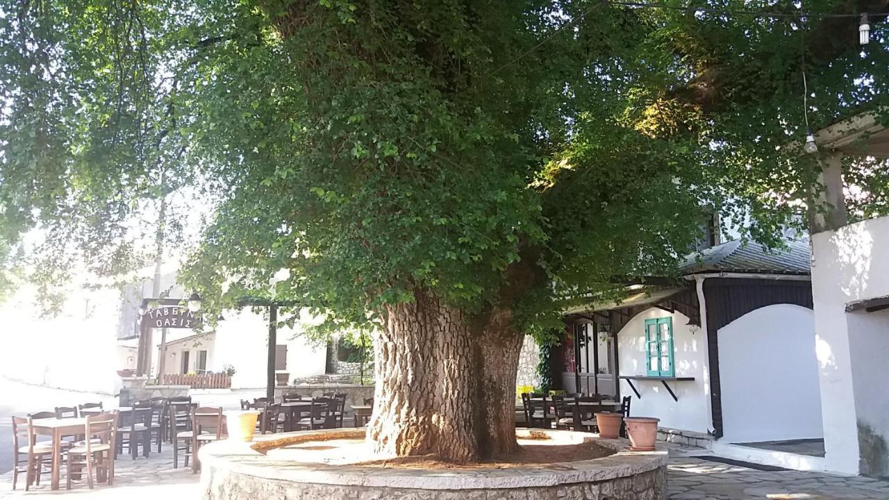 Elm Tree Dream Catcher Strinilas Eksteriør billede